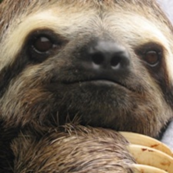 Meet your Posher, Cierra - Picture 1 of 1